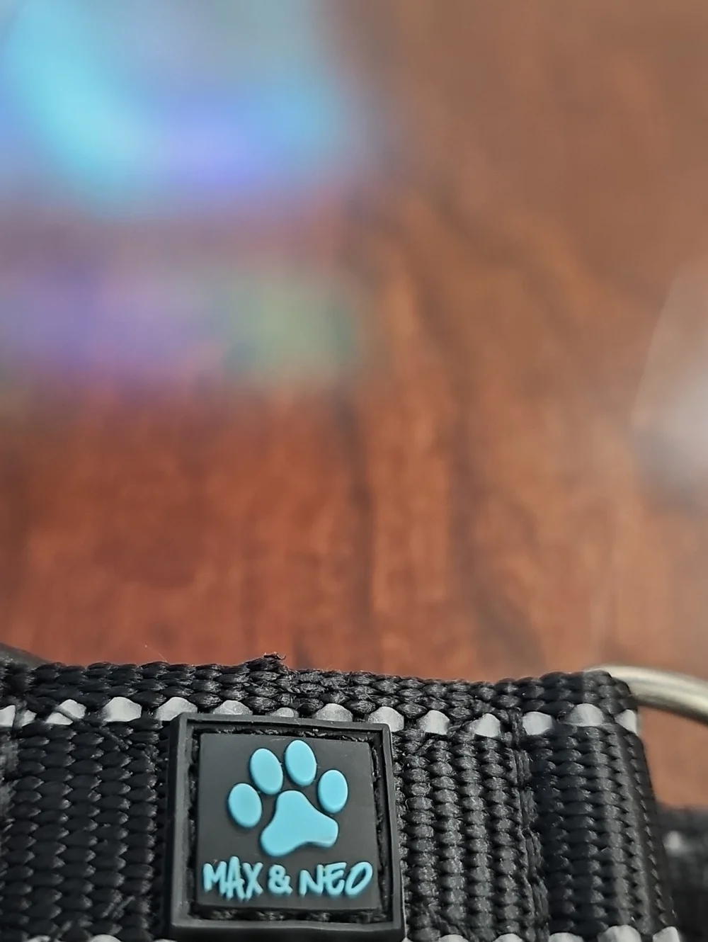 Max & Neo Black Stainless Steel Martingale Dog Collar